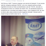 ANAT 6