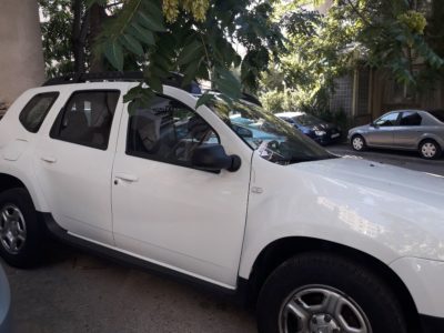 duster3